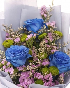 Holland blue Rose
