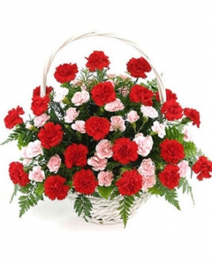 30 Colored flowers mix carnation basket